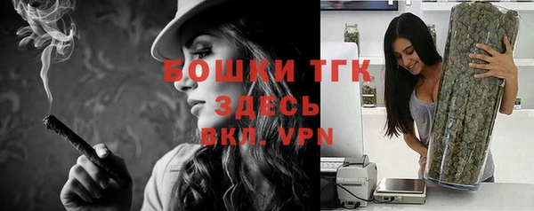 ГАЛЛЮЦИНОГЕННЫЕ ГРИБЫ Горняк