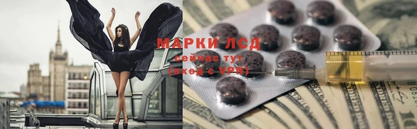 ГАЛЛЮЦИНОГЕННЫЕ ГРИБЫ Горняк