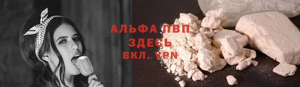 ГАЛЛЮЦИНОГЕННЫЕ ГРИБЫ Горняк