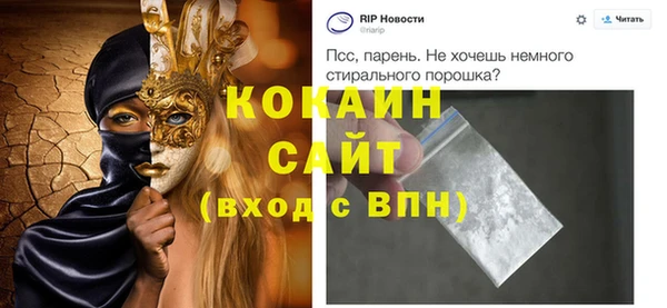 ГАЛЛЮЦИНОГЕННЫЕ ГРИБЫ Горняк