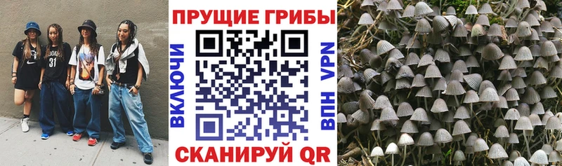 Галлюциногенные грибы мицелий  Купить  Псков 